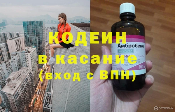 индика Вяземский
