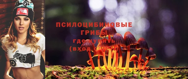 гидропоника Володарск