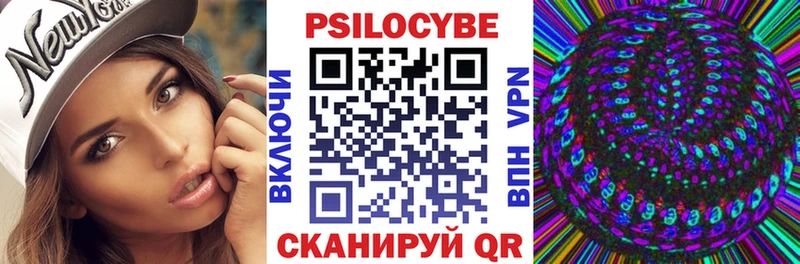 Псилоцибиновые грибы Cubensis Купить где Буй