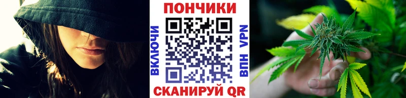 Купить где  Буй  Шишки марихуана марихуана 